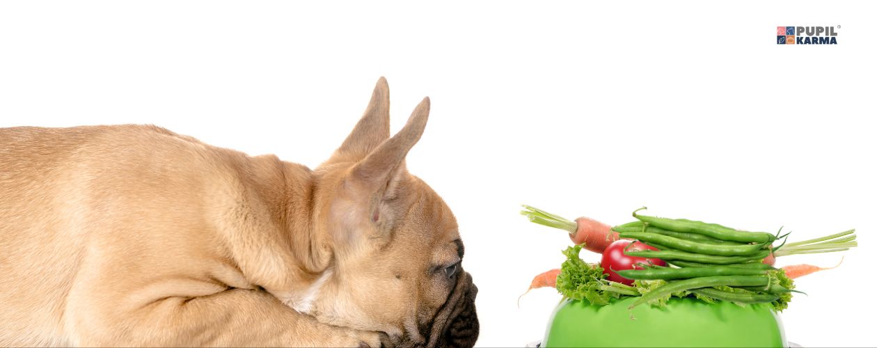 Warzywa w diecie są potrzebne. Na białym tkle leży buldog i patrzy na zieloną miskę pełną warzyw w tym fasolkę. Po prawej logo pupilkarma.